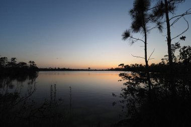 Everglades Ulusal Parkı 'ndaki Pine Glades Gölü üzerinde Alacakaranlık, Florida.