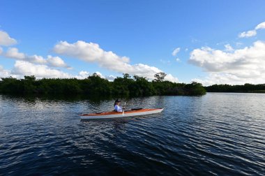 Florida, Everglades Ulusal Parkı 'ndaki Paurotis Pond' da kayak yapan kadın güneşli bir öğleden sonra..