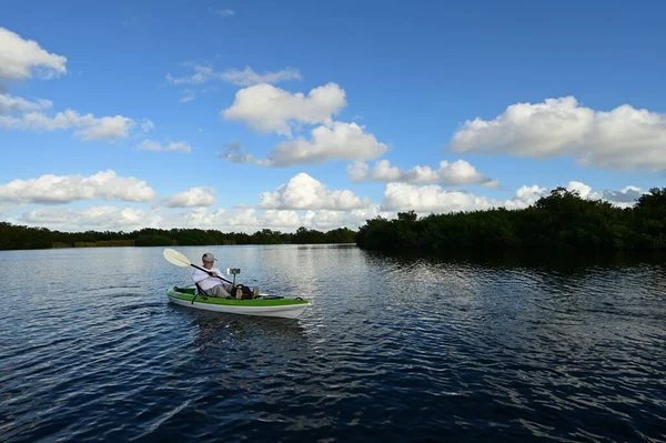 Aktywne Spływy Kajakowe Paurotis Pond Parku Narodowym Everglades Florydzie Spokojne — Zdjęcie stockowe