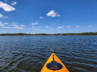 Florida, Everglades Ulusal Parkı 'ndaki Nine Mile Pond' da turuncu kanonun önünde güneşli bir nisan öğleden sonra..