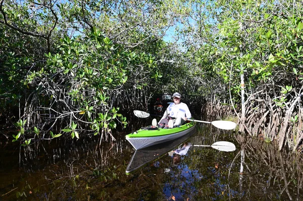 フロリダ州エバーグレーズ国立公園の9マイル池で4月の晴れた日の午後にアクティブなシニアカヤック — ストック写真