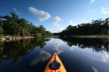 Florida, Palmdale yakınlarındaki Fisheating Creek 'te kayak yaparken sakin bir yaz öğleden sonrasında.