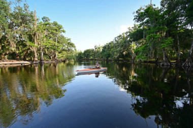 Florida, Palmdale yakınlarındaki Fisheating Creek 'te kayak yapan bir kadın..