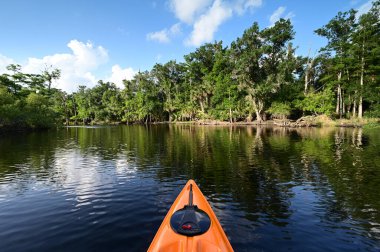 Florida, Palmdale yakınlarındaki Fisheating Creek 'te kayak yaparken sakin bir yaz öğleden sonrasında.