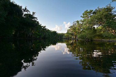 Florida, Palmdale yakınlarındaki Fisheating Creek sakin bir yaz öğleden sonrasında..