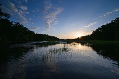 Florida, Palmdale yakınlarındaki Fisheating Creek 'te gün batımı sakin bir yaz öğleden sonra.