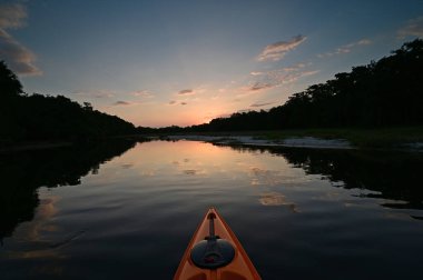 Florida, Palmdale yakınlarındaki Fisheating Creek 'te kayak yaparken sakin bir yaz öğleden sonrasında.