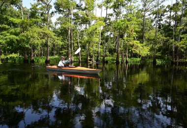 Florida, Palmdale yakınlarındaki Fisheating Creek 'te kayak yapan bir kadın..