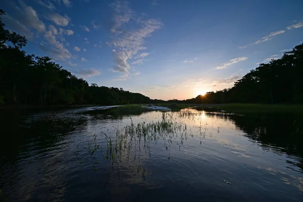 Florida Palmdale Yakınlarındaki Fisheating Creek Gün Batımı Sakin Bir Yaz — Stok fotoğraf