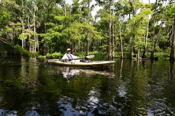 Aktywny Mężczyzna Senior Kajakarstwo Fisheating Creek Pobliżu Palmdale Floryda Spokojne — Zdjęcie stockowe