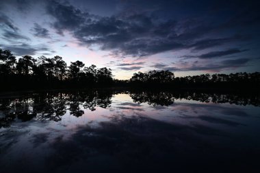 Florida, Everglades Ulusal Parkı 'ndaki sakin gölete yansıyan renkli gün doğumu bulutu.