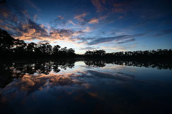 Florida, Everglades Ulusal Parkı 'ndaki sakin gölete yansıyan renkli gün doğumu bulutu.