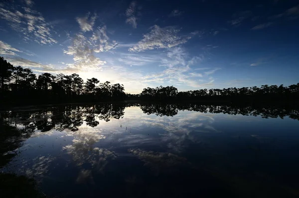 Florida, Everglades Ulusal Parkı 'ndaki sakin gölete yansıyan renkli gün doğumu bulutu.