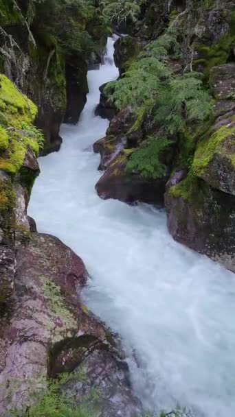 Hohe Wassermenge Avalanche Creek Glacier National Park Montana Nach Heftigen — Stockvideo