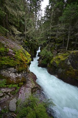Haziran ayında sağanak yağış sonrasında Montana, Buzul Ulusal Parkı 'ndaki Avalanche Deresi' nde yüksek seviyeler ve şiddetli su akışı.