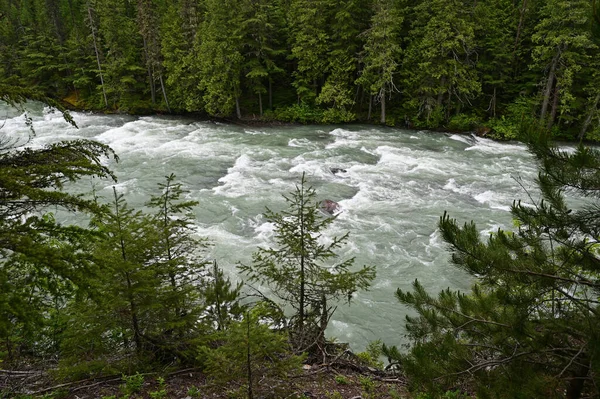 Alti Livelli Torrenziale Flusso Acqua Mcdonald Creek Nel Glacier National — Foto Stock