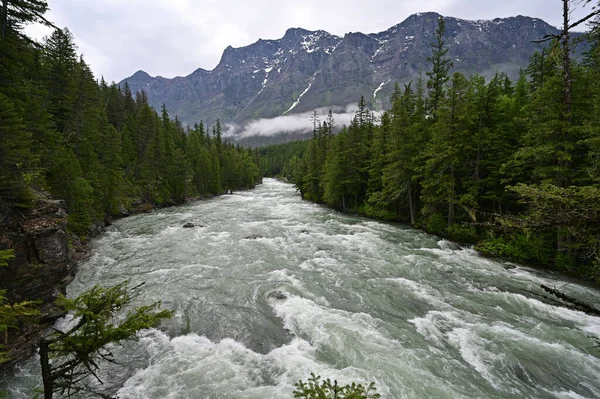 Altos Niveles Flujo Agua Torrencial Mcdonald Creek Parque Nacional Glaciar — Foto de Stock