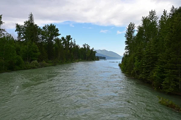 ระด งและการไหลของน าทอร เรนต Mcdonald Creek ในอ ทยานแห งชาต Glacier — ภาพถ่ายสต็อก