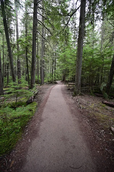 Johns Lake Loop Trail Dans Parc National Des Glaciers Montana — Photo