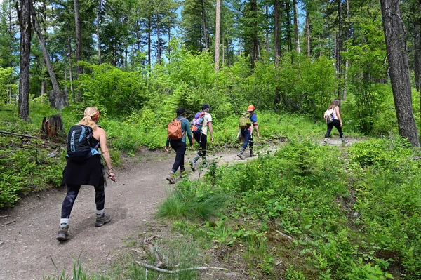 Youing Vrouwelijke Wandelaars Lion Mountain Trail Buurt Van Whitefish Montana — Stockfoto