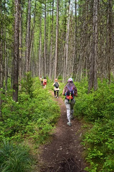Young Women Hiking Stanton Lake Trail Great Bear Wilderness Montana — Stockfoto