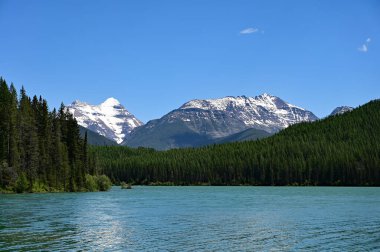 Güneşli yaz gününde Montana, Great Bear Wilderness 'da Stantion Gölü' nün arkasındaki karlı dağlar..