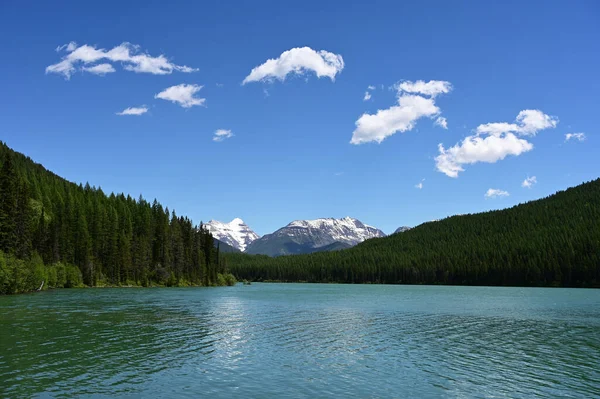 Snow Capped Mountains Stantion Lake Great Bear Wilderness Montana Sunny — Stok fotoğraf
