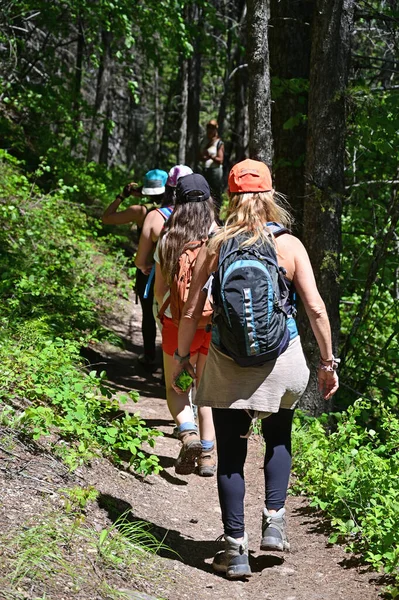 Jeunes Femmes Randonnée Stanton Lake Trail Dans Great Bear Wilderness — Photo