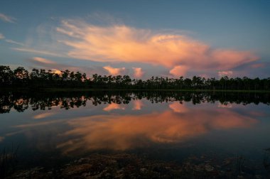 Colorful summer sunrise cloudscape over Long Pine Key reflected in perfectly calm lake water in Everglades National Park, Florida.