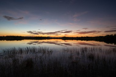 Colorful summer sunrise cloudscape over Nine Mile Pond reflected in perfectly calm water in Everglades National Park, Florida.