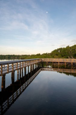 Sunrise cloudscape over West Lake boardwalk in Everglades National Park, Florida on calm summer morning.