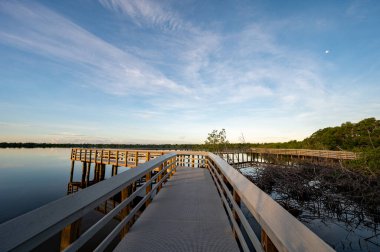 Sunrise cloudscape over West Lake boardwalk in Everglades National Park, Florida on calm summer morning.