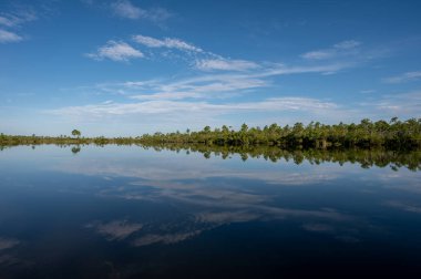 Early morning summer cloudscape over Pine Glades Lake in Everglades National Park, Florida reflected in calm lake water.
