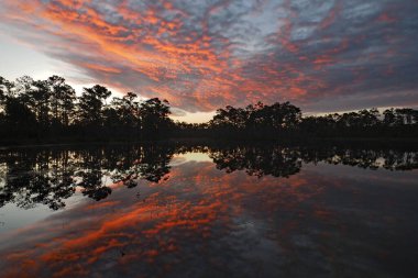 Colorful summer sunrise cloudscape over Long Pine Key reflected in perfectly calm lake water in Everglades National Park, Florida.