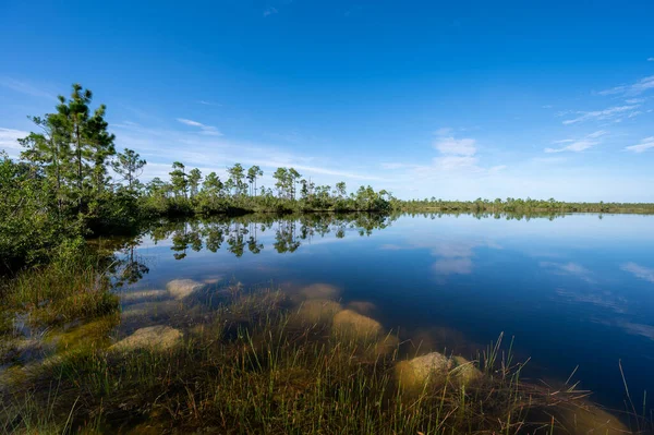 Early Morning Summer Cloudscape Pine Glades Lake Everglades National Park — Stok fotoğraf