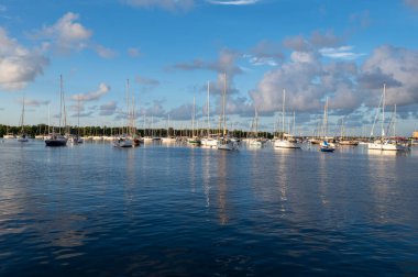 Dinner Key Marina in Miami, Florida in early morning light on calm sunny summer morning.