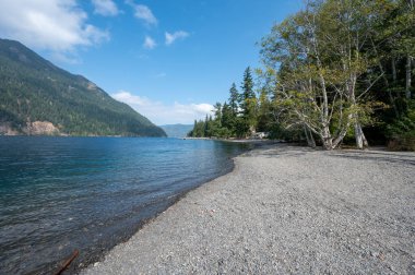 Olimpiyat Ulusal Parkı 'ndaki Lake Crescent Gölü güneşli bir sonbahar öğleden sonrasında..