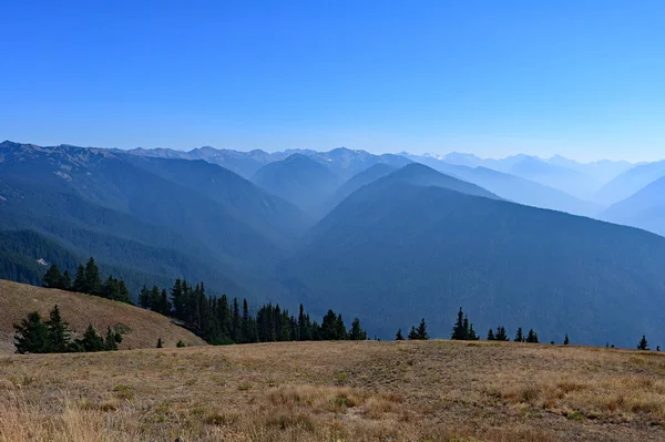 Montañas Del Parque Nacional Olímpico Washington Visto Desde Centro Visitantes — Foto de Stock