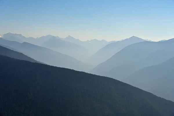 Washington Olimpiyat Ulusal Parkı Dağları Güneşli Bir Sonbahar Öğleden Sonrasında — Stok fotoğraf