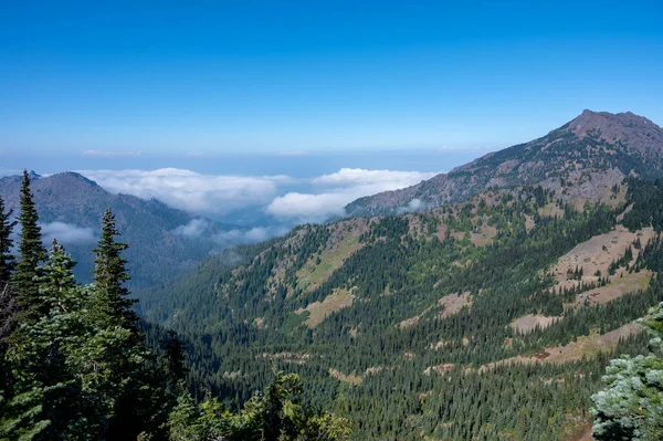 Bulutların Tersine Dönmesi Sırasında Vadiyi Dolduran Bulutlar Olimpiyat Ulusal Parkı — Stok fotoğraf