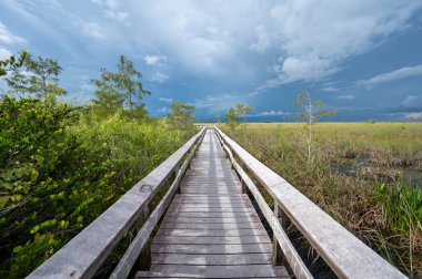 Florida, Everglades Ulusal Parkı 'ndaki çayırların üzerinde fırtına bulutlu bir günde Pa-Hay-Okee tahta yolu...