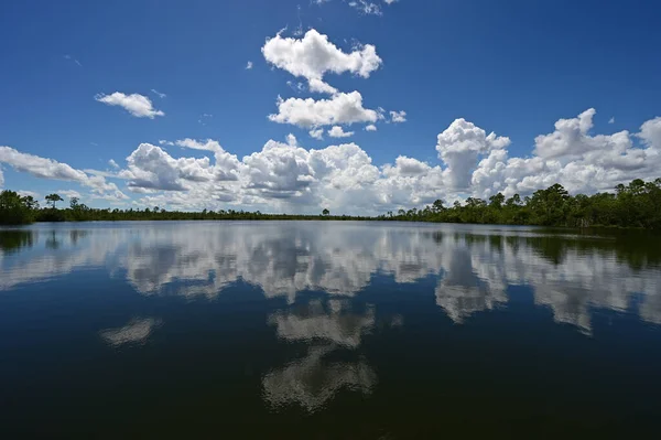 Brillante Paesaggio Nuvoloso Estivo Riflesso Acque Calme Del Lago Pine — Foto Stock