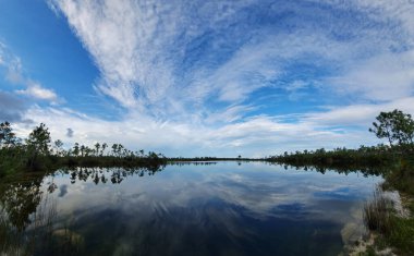 Everglades Ulusal Parkı 'ndaki Pine Glades Gölü üzerinde yaz bulutları, Florida.