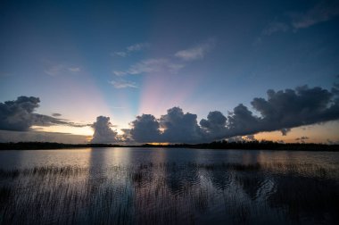 Everglades Ulusal Parkı, Florida 'daki Nine Mile Pond üzerinde renkli bir gün doğumu.