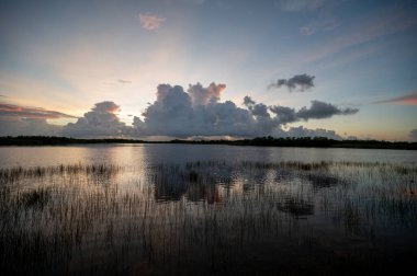 Everglades Ulusal Parkı, Florida 'daki Nine Mile Pond üzerinde renkli bir gün doğumu.