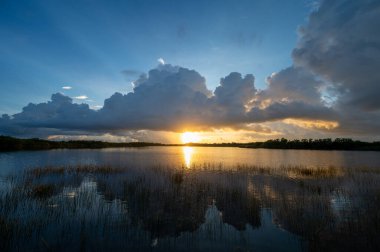 Everglades Ulusal Parkı, Florida 'daki Nine Mile Pond üzerinde renkli bir gün doğumu.