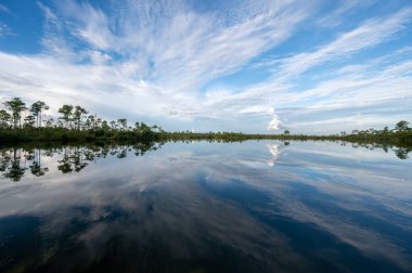 Everglades Ulusal Parkı 'ndaki Pine Glades Gölü üzerinde yaz bulutları, Florida.
