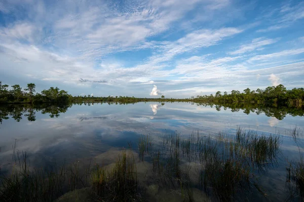 Summer Cloudscape Pine Glades Lake Everglades National Park Florida — Stock Photo, Image
