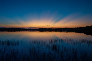Everglades Ulusal Parkı, Florida 'daki Nine Mile Pond üzerinde renkli bir gün doğumu.