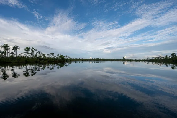 Letní Oblačnost Nad Jezerem Pine Glades Národním Parku Everglades Floridě — Stock fotografie